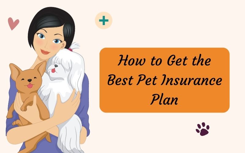 fastesaletter's tweet image. No matter which provider you select, you should know the benefits and drawbacks of purchasing pet insurance.

Read More: bit.ly/3Uz63e2

#petinsurance #insurancecost #petinsurancecost #insurance #doginsurance #emotionalsupportanimals #fastesaletter