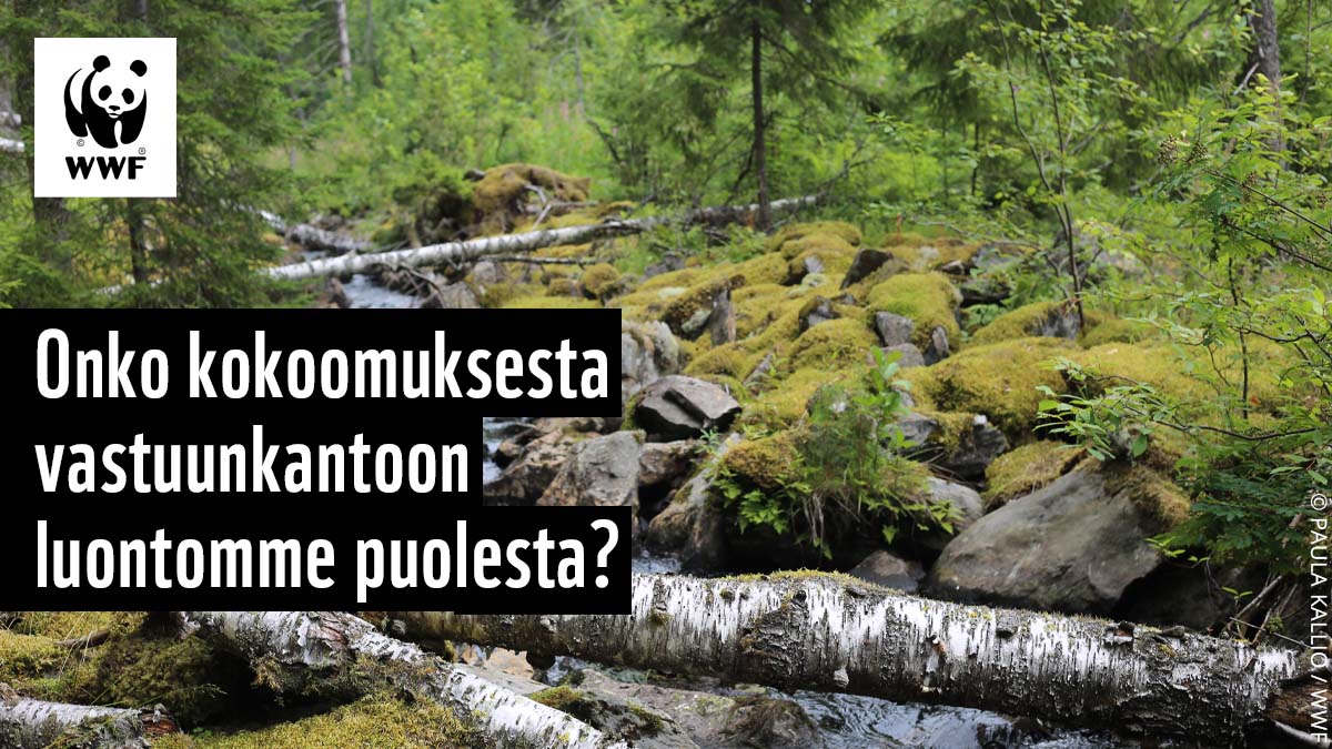WWF Suomi tweet media