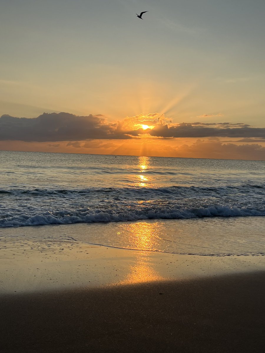 The gm’iest of gm’s