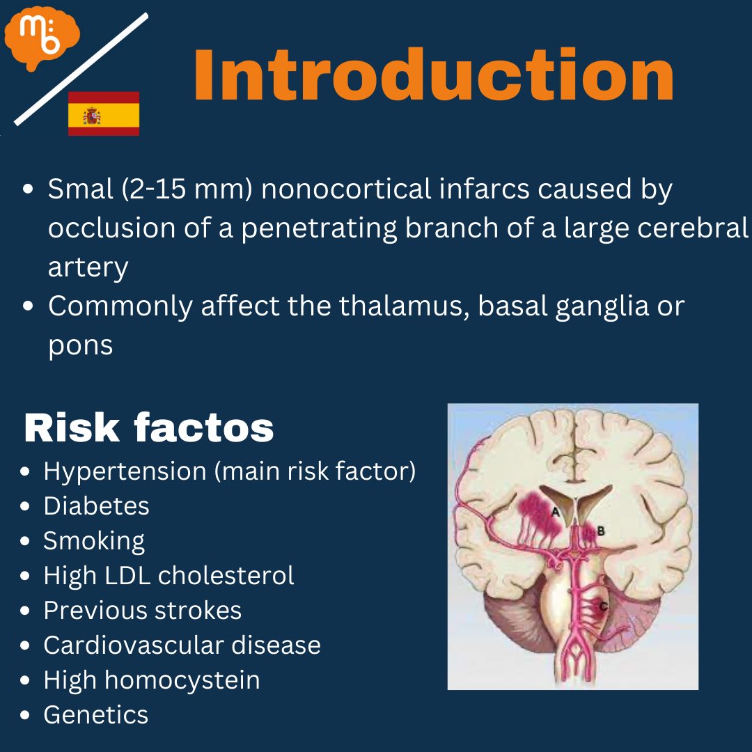 Mission:Brain Complutense tweet media