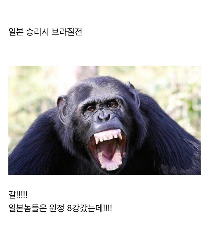 honjabogin's tweet photo. 일본 경기결과에 따라 달라지는 브라질전 https://t.co/B055WHNhy8