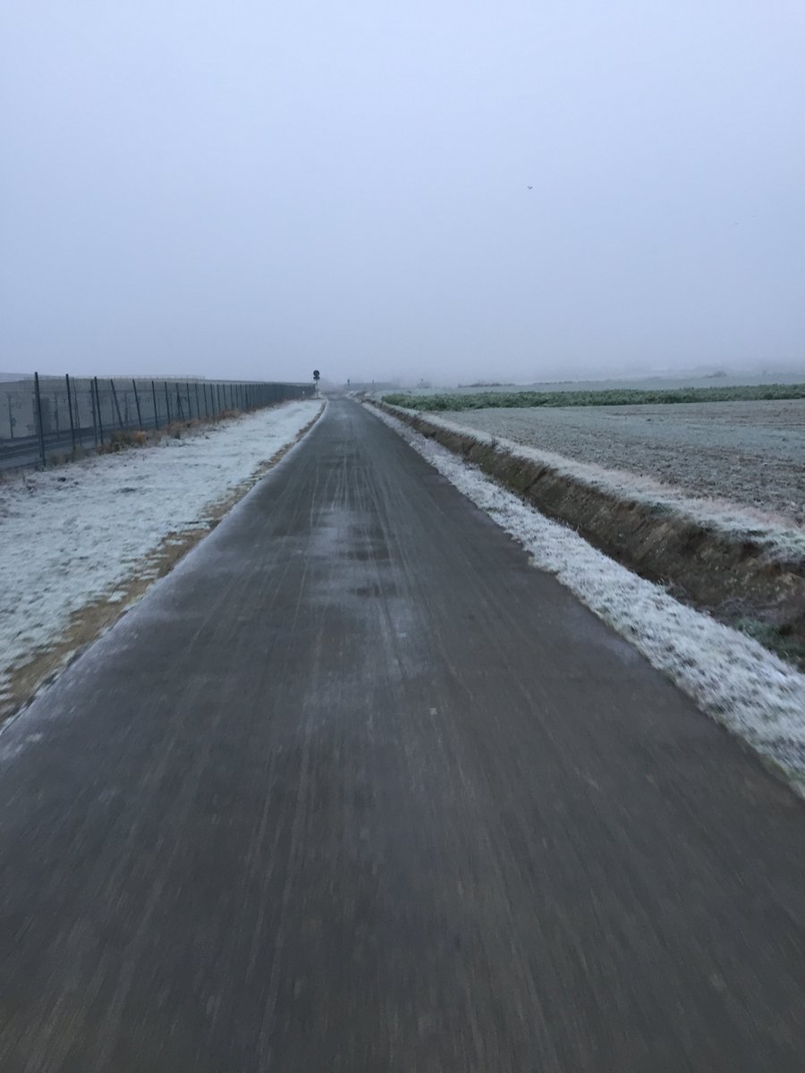 Clara Balust tweet media