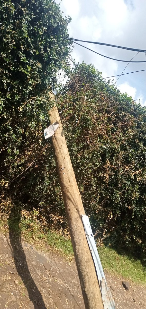 ruthkioko's tweet photo. @KenyaPower_Care We appreciate a team that came and restored power to some areas. Urgently send a team with a crane to lift up the pole. It's a safety hazard for us and our children at this point and the pole has blocked access for cars to the flats next to it. AC No:54500596454 https://t.co/IYp0XdltJe