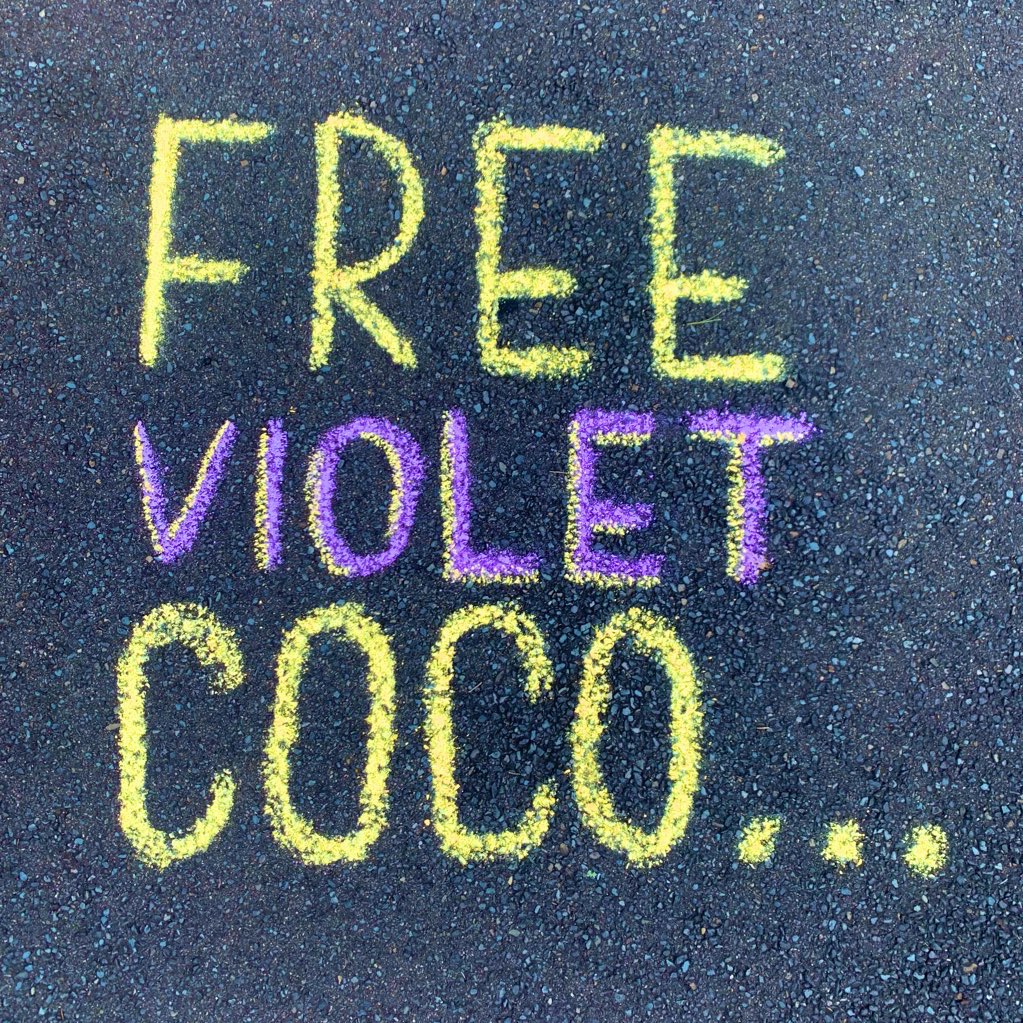 DemOnTheStreets's tweet image. I’ve been thinking about #VioletCoco today. About what it means for a 30-something to be facing 8-14 months imprisoned for what she believes in. For standing up against a system that is destroying your home, robbing your future, and failing everything. 🧵