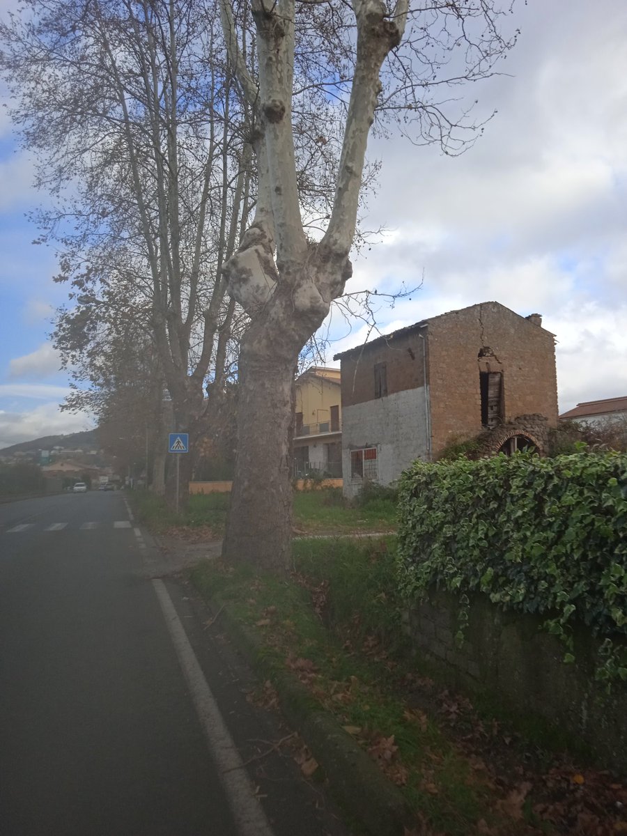 lucananni1010's tweet photo. #happymonday in bici da #Palestrina #Laghetto #Castello di #Lunghezza dopo 135 km ora lasagna😜 https://t.co/s8q9cqqQa6