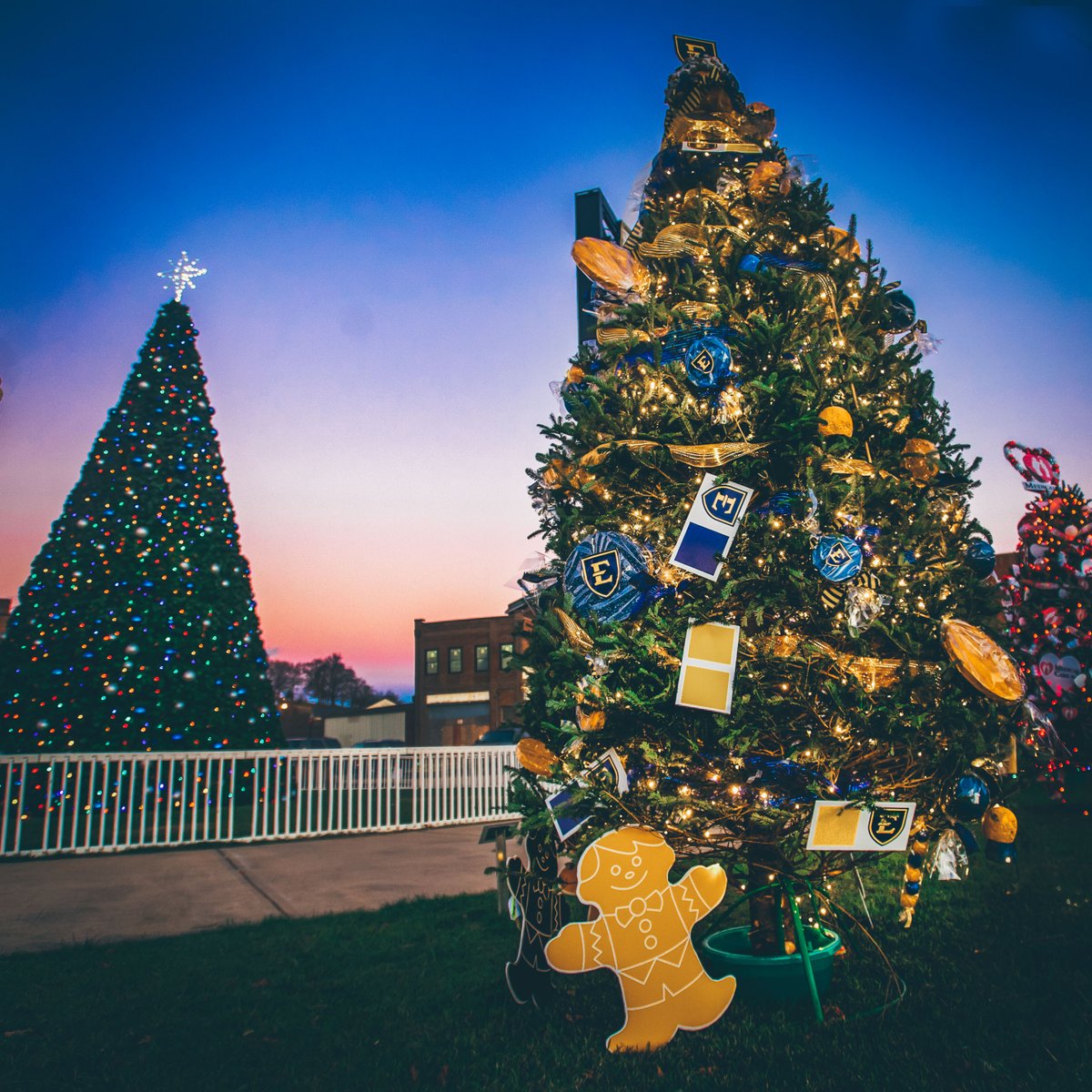 Our <a href="/ETSUAlumni/">ETSU National Alumni Association</a> Association has done a beautiful job decorating ETSU's tree in the downtown Johnson City Candyland Christmas display. Vote for your favorite tree by December 9. #ETSUPride365 docs.google.com/forms/d/e/1FAI…