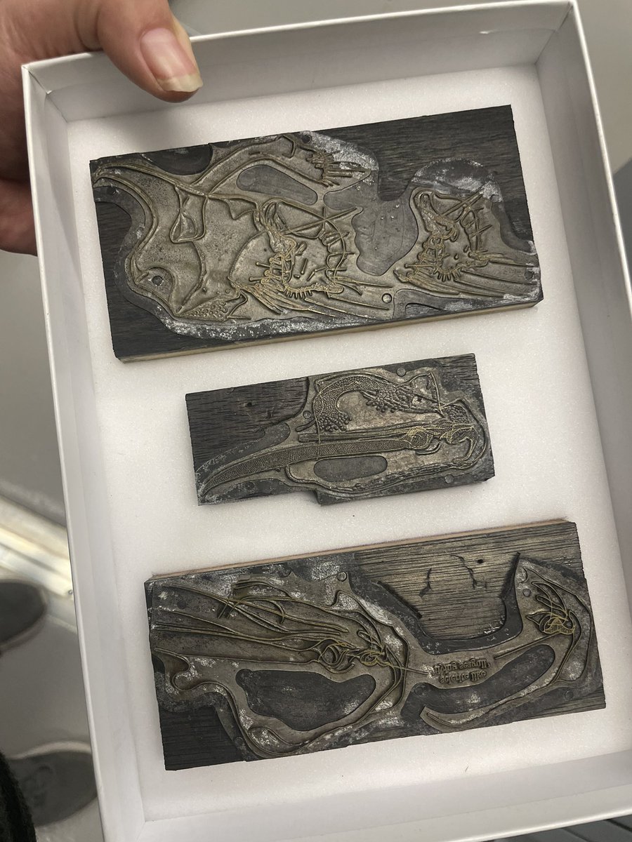 NHM_Fleas tweet media