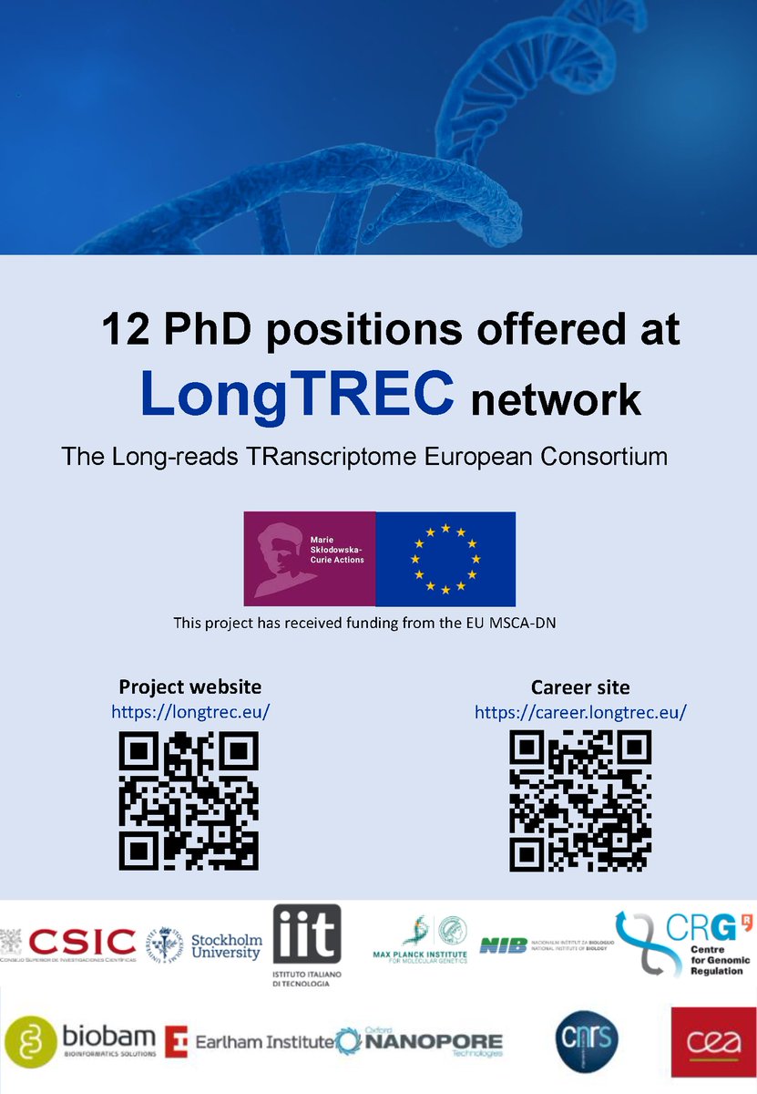 AnaConesa tweet media