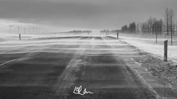 GM Lovelies 🌻🌞
"Lonely Road Ahead" 👀 Kind of sums up my day...

💜 Appreciate Likes | Shares | Follows
🔗opensea.io/assets/ethereu…

#ETH #NFTs #nftphotography #NFTcollections #digitalcollectibles  #nftdigitalart #NFTCollectors