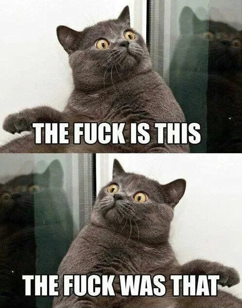 First time in crypto be like: