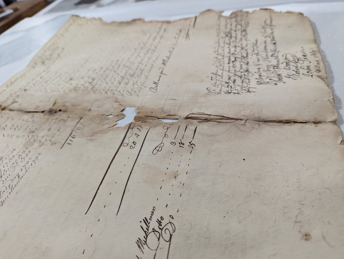 Codex Conservation tweet media