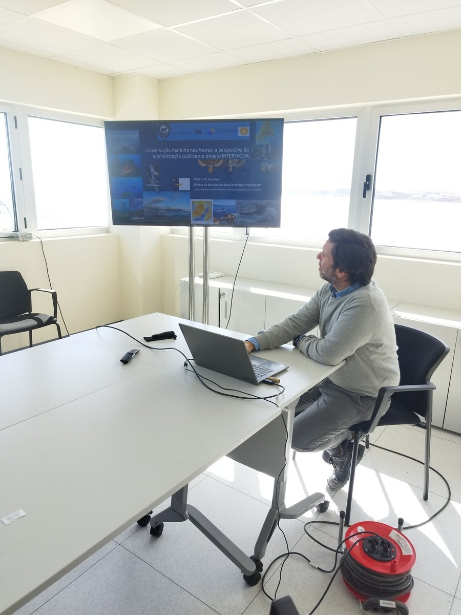 Intertagua tweet media