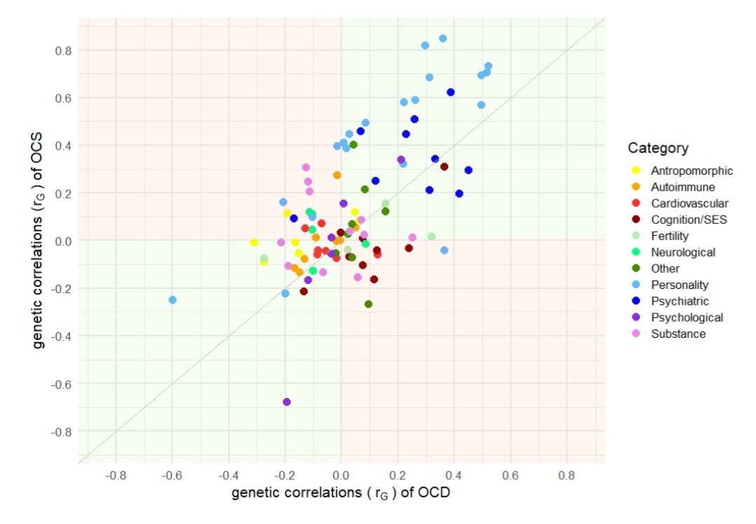 Nora Strom tweet media