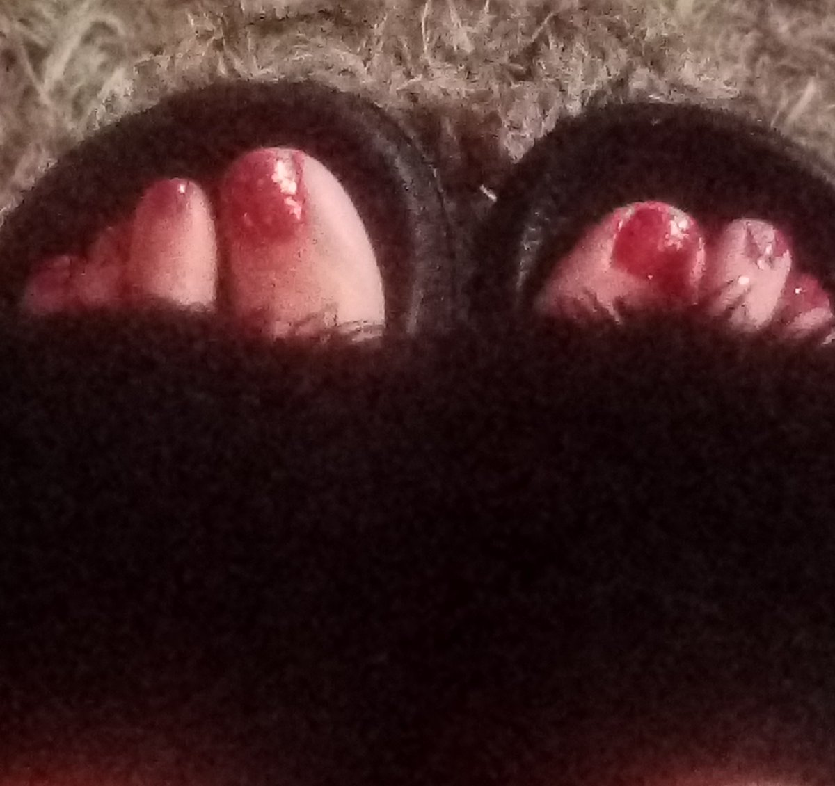 KimHutchings19's tweet photo. Rouge....is the seasons colour....π
#seasoncolours π https://t.co/FOazH5gmXz