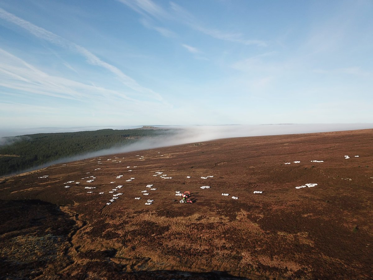 Ridge Carbon Capture tweet media