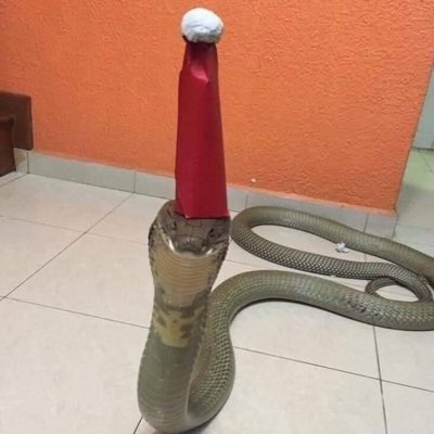 Espíritu navideño