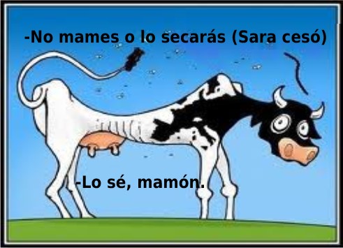 "Mamón" (palíndromo)
· · · >