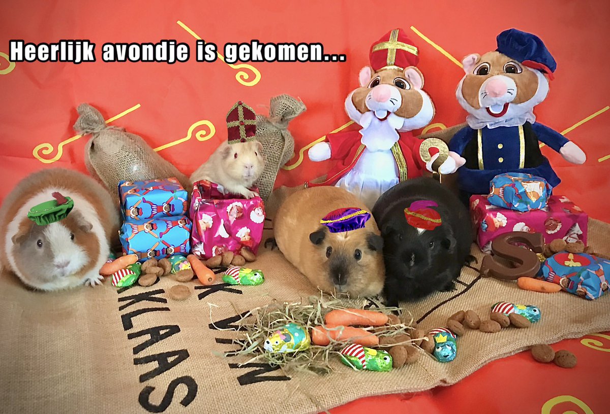 marleenpol7's tweet photo. #Sinterklaas #cavialolmetpol https://t.co/AybvE5dval