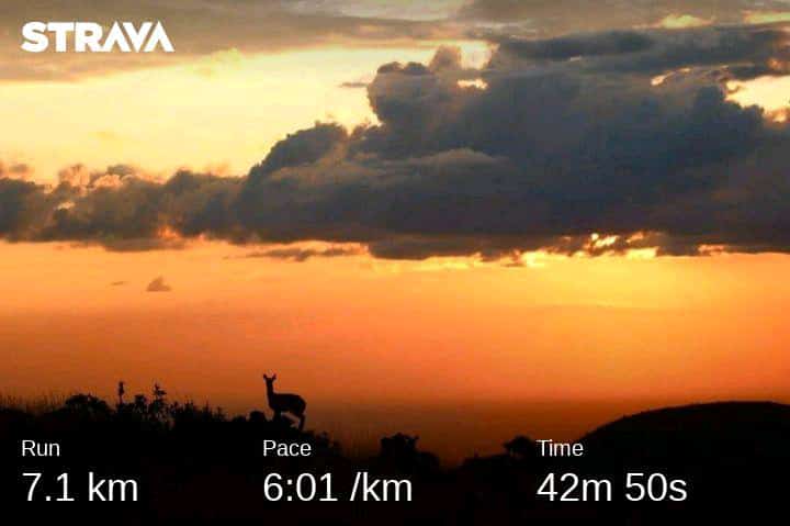 tello_rams's tweet image. Late afternoon session,  enjoying the last runs for 2022
#double2021efforts 
#FetchYourBody2022 
#ipaintedmyrun 
#RunningWithTumiSole 
#progressoveremotion 
#IChoose2BActive 
#TSHABakoo 🏃🏃🏃
#neverskipmondays