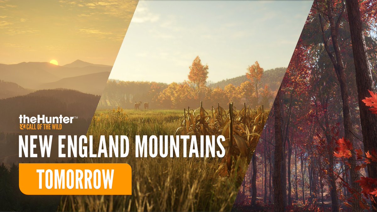theHunterCOTW's tweet photo. One day away 🙌 

Who are we seeing in the New England Mountains tomorrow? 🦌 https://t.co/eI8TJkktgF