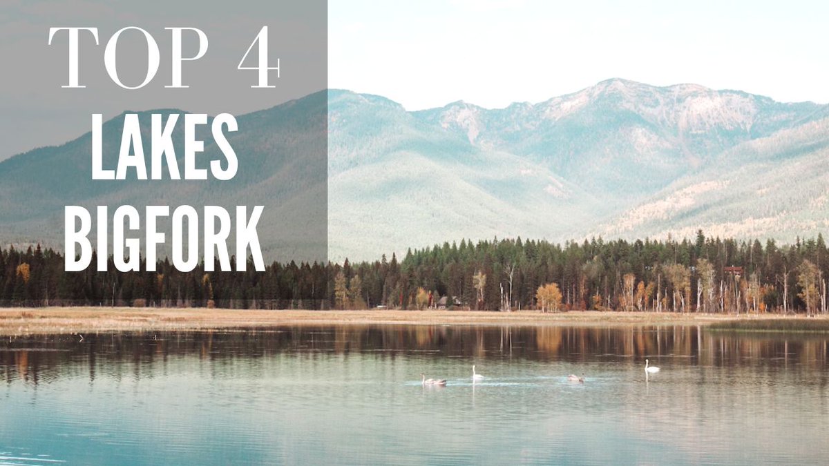 In case you missed it...check out the top 4 lakes in East Kalispell and Bigfork Montana!
Which one is your favorite?
youtu.be/lTMO1MMbCCQ
#kalispellmontana #montanarealestate #kalispellmt #bigforkmontana #bigforkmt #bigfork #kalispellrealestate