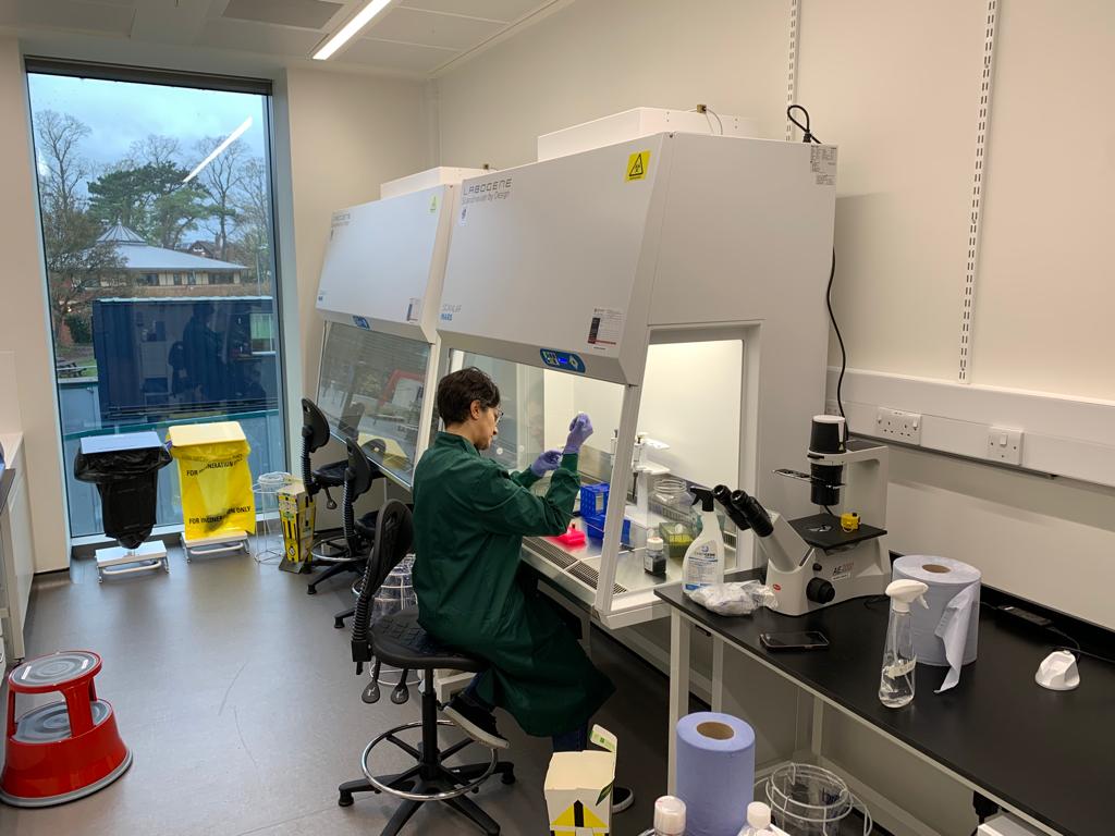 AlethioTx's tweet photo. We have started using our brand new tissue culture room - very exciting. If you're a bioinformatician looking for a new job to help us analyse all the exciting data we're generating, please apply!  https://t.co/6X9aFyQdk9 https://t.co/rvdmTiQEyp