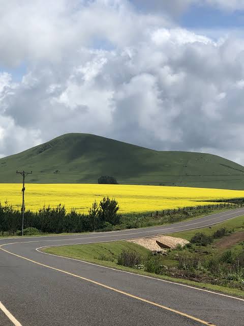 The beautiful landscape of Buuri, Meru County the home of <a href="/BuuriEnergy/">Buuri Energy</a>.... Great Renewable Energy projects coming up in this area. #CleanEnergy