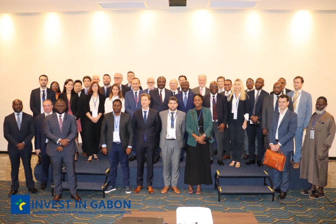 Invest In Gabon tweet media