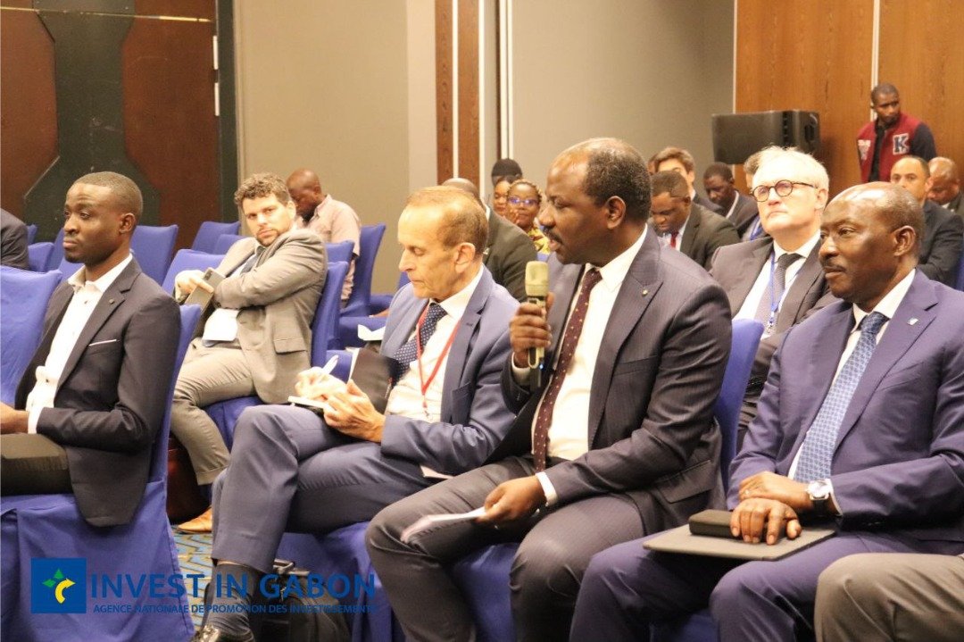 Invest In Gabon tweet media
