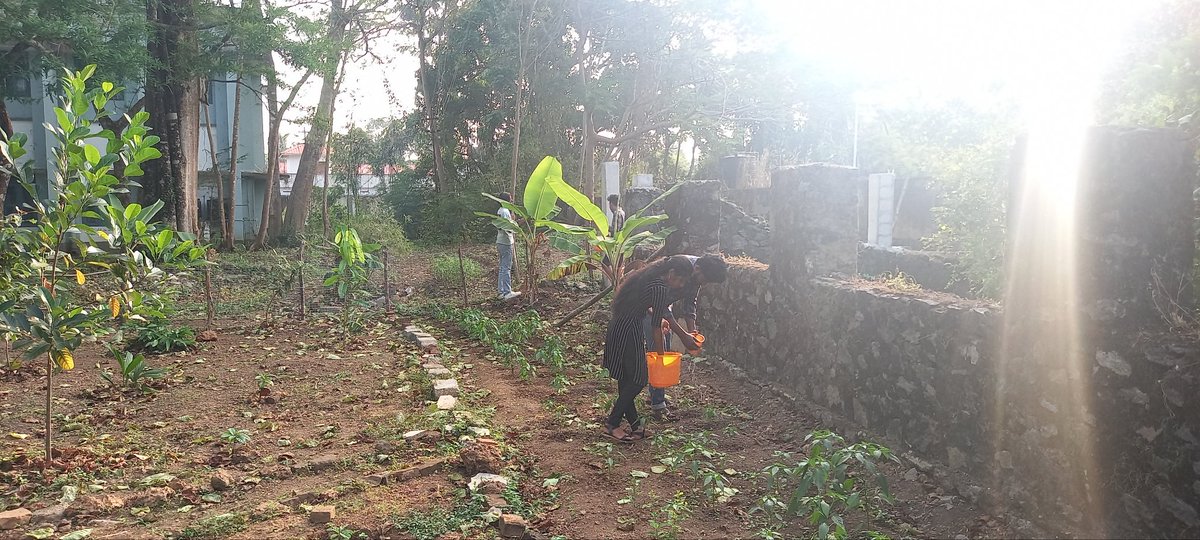 nssskcgvr's tweet photo. Todays Gardening working at nss garden @NSSRDChandigarh @rdnss_kolkata @NSSRDPATNA @nssgujarat @nss_rdguwahati @NSSRDLucknow @MaharashtraNSS @NssrdD @nssrdhyderbad @KarnatakaNss @NssRajasthan @nsstvm @NSSChennai @nssrdbangalore @YASMinistry @_NSSIndia @pankajsinghips @HimachalNss https://t.co/TcqrsKFgzD