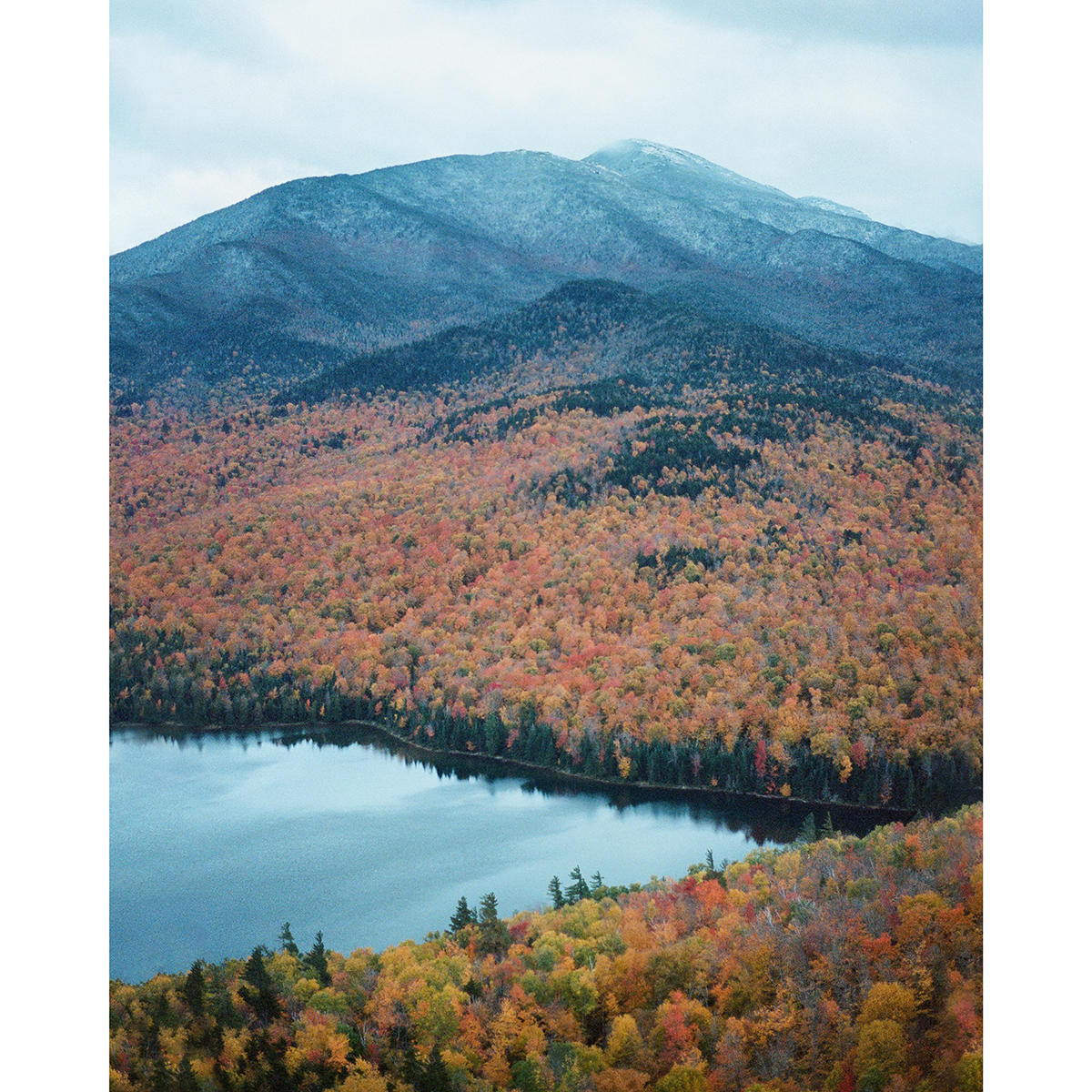 KodakProFilmBiz's tweet photo. 📷Tiffanie Yang @_tiffanieyang 
🎞️#Portra400
📸Minolta x700

#kodakprofessional #shootfilm #filmisnotdead #filmphotography #filmcommunity #analogphotography #keepfilmalive #believeinfilm #filmdiscovered #naturefilmphotography #landscapefilmphotography #travelfilmphotography https://t.co/sPLxeKinzL