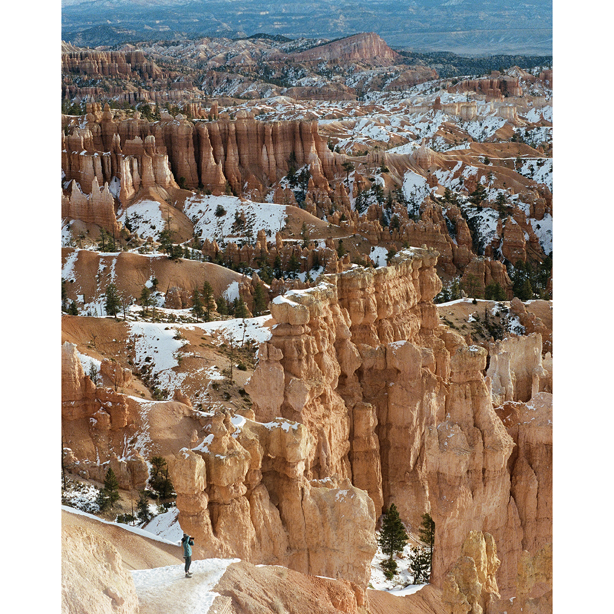 KodakProFilmBiz's tweet photo. 📷Tiffanie Yang @_tiffanieyang 
🎞️#Portra400
📸Minolta x700

#kodakprofessional #shootfilm #filmisnotdead #filmphotography #filmcommunity #analogphotography #keepfilmalive #believeinfilm #filmdiscovered #naturefilmphotography #landscapefilmphotography #travelfilmphotography https://t.co/sPLxeKinzL