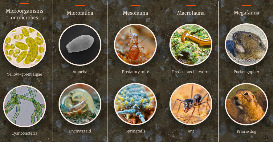 Erika Foster PhD tweet media