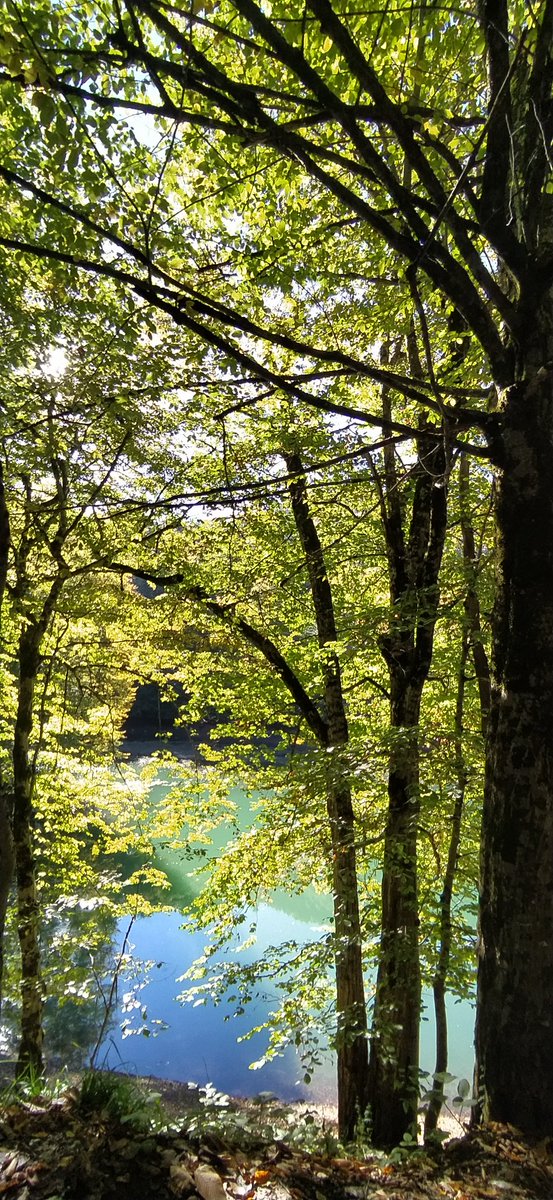 Betül Çetin (@btulctn) on Twitter photo 