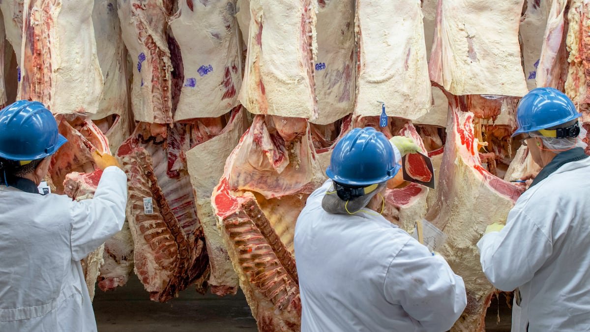 gruntvegan's tweet photo. #Meat is the commodification of unfathomable violence, normalized by a false narrative, that humans need to eat the flesh of others, a narrative politicized and pushed by governments and subsidized by taxpayers.

Lets end the carnage. https://t.co/Sglolf1cE3