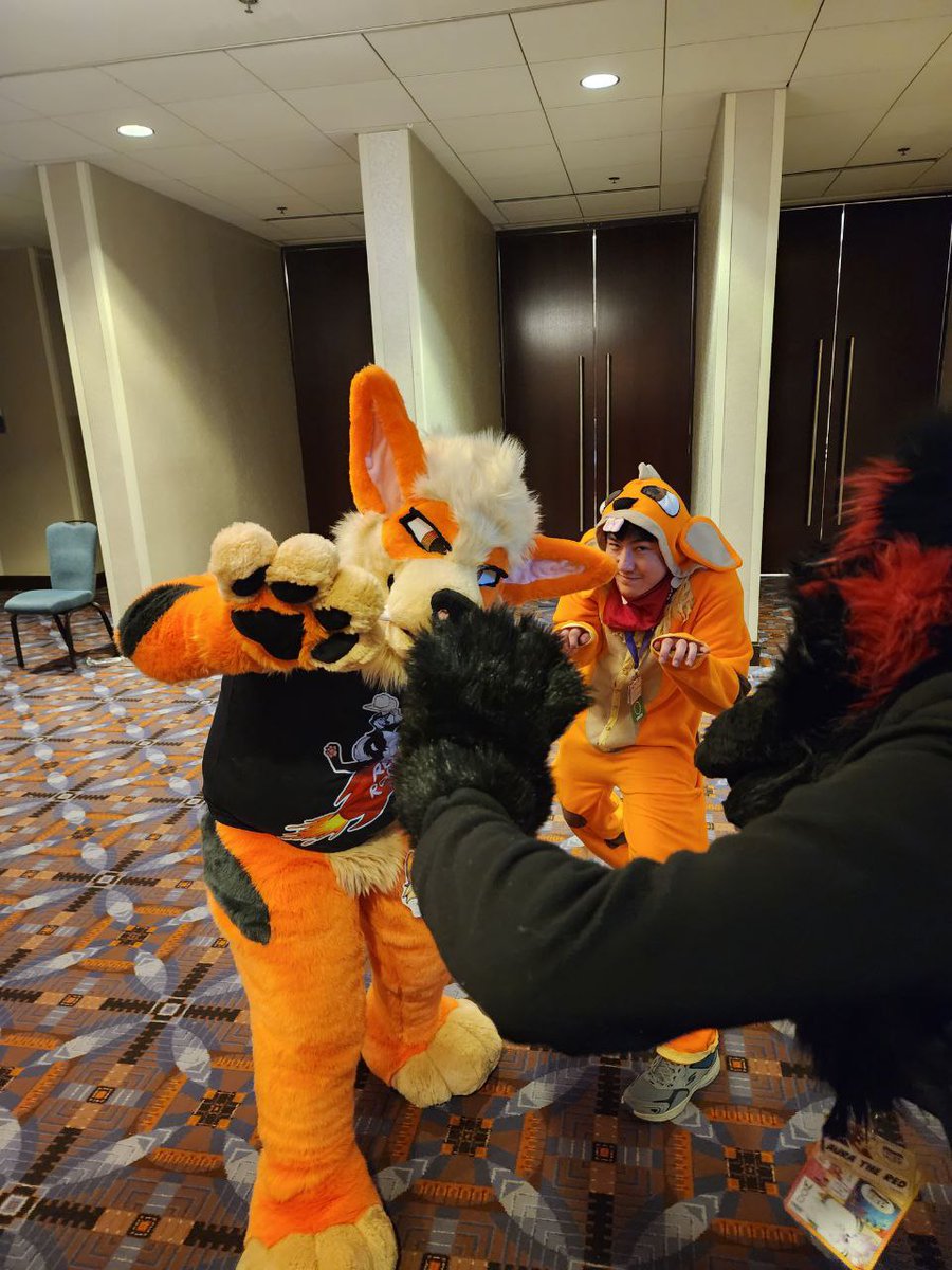 ABitOfRetroK9's tweet photo. Was at @FurFest and ran into an Arcanine! 
Who is this?!? I HAD SO MUCH FUN!!! AHHHH!!!! https://t.co/rhGF1pLcLh