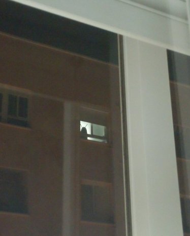 gillighan01's tweet photo. Debe ser una tabla de planchar, pero prefiero pensar que es una cucaracha gigante vigilando el barrio. https://t.co/dX9dE5S7N9