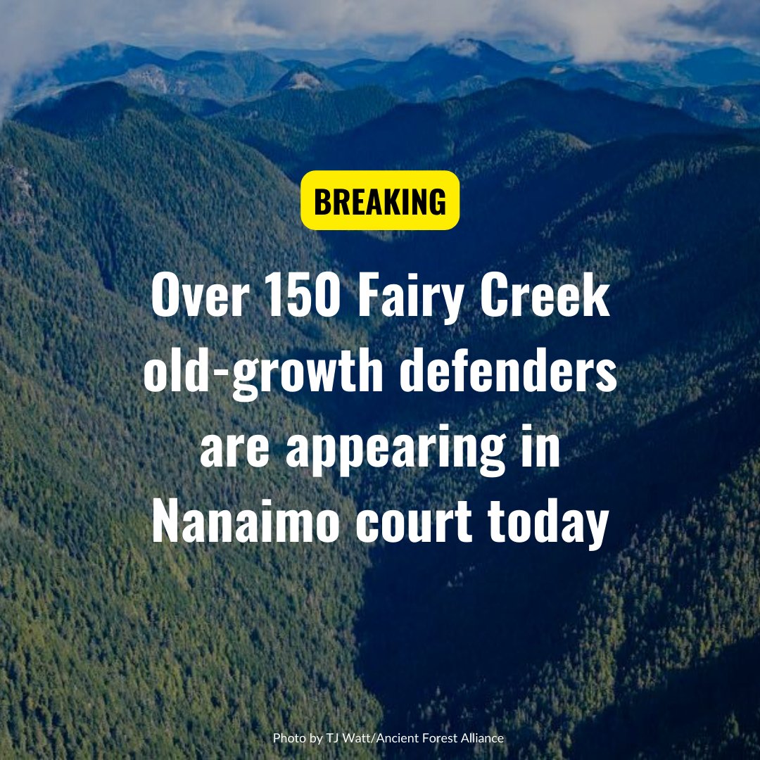 SierraClubBC's tweet photo. MEDIA RELEASE: 160 #FairyCreek #OldGrowth defenders are scheduled to appear in a Nanaimo court this morning, one of the largest groups in a single day since police action to clear logging roads in the area ramped up in spring 2021. https://t.co/0dbWEYQpNc #bcpoli https://t.co/mOugUMzOOw