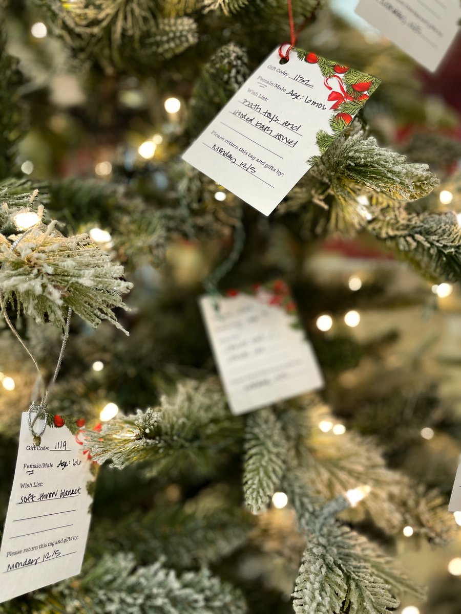 Bay and Bay tweet media