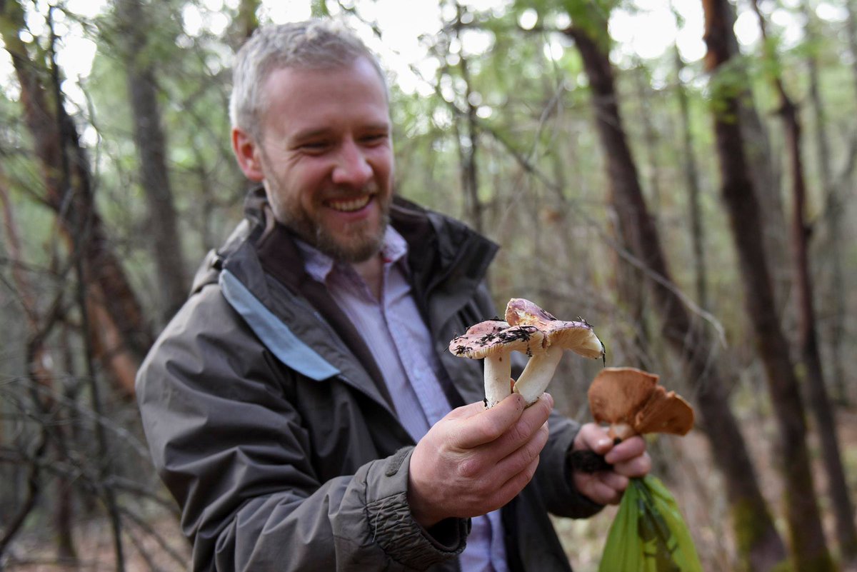 The Wild Mushroom Foray is a highlight of #NapaTruffleFest. 🍄

Truffle fans &amp; mushroom mavens will hike the #NapaValley woods w/ mycologist David Campbell for an invigorating foraging tour to find candy caps, matsutakes &amp; more!

napatrufflefestival.com #TruffleFest