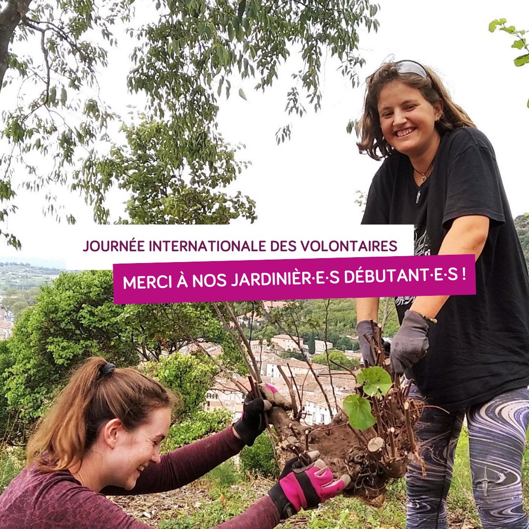 asso_concordia's tweet photo. C'est la #journeeinternationaledesvolontaires !
Depuis plus de 70 ans, vous êtes à nos côtés. Votre engagement nous aide à transmettre nos valeurs de paix et de tolérance un peu plus chaque jour.

Merci à tou·te·s nos bénévoles et volontaires pour leur confiance❤️ https://t.co/Z5f2w26SLT