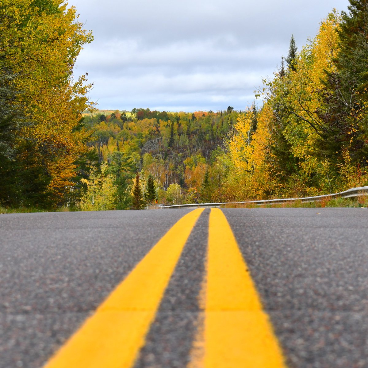 TimeStriping's tweet photo. We at Time Striping are proud at ensuring road stripes are fresh and clear for any kind of day!
#TimeStriping #OnTimeEveryTime #RoadStriping https://t.co/5aimVWXK14