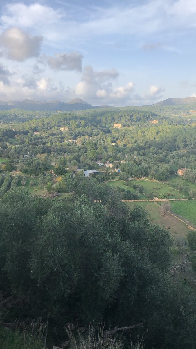 ankar29's tweet photo. Amo mis vistas !!! Siempre verde y azul https://t.co/fagnS9D18y