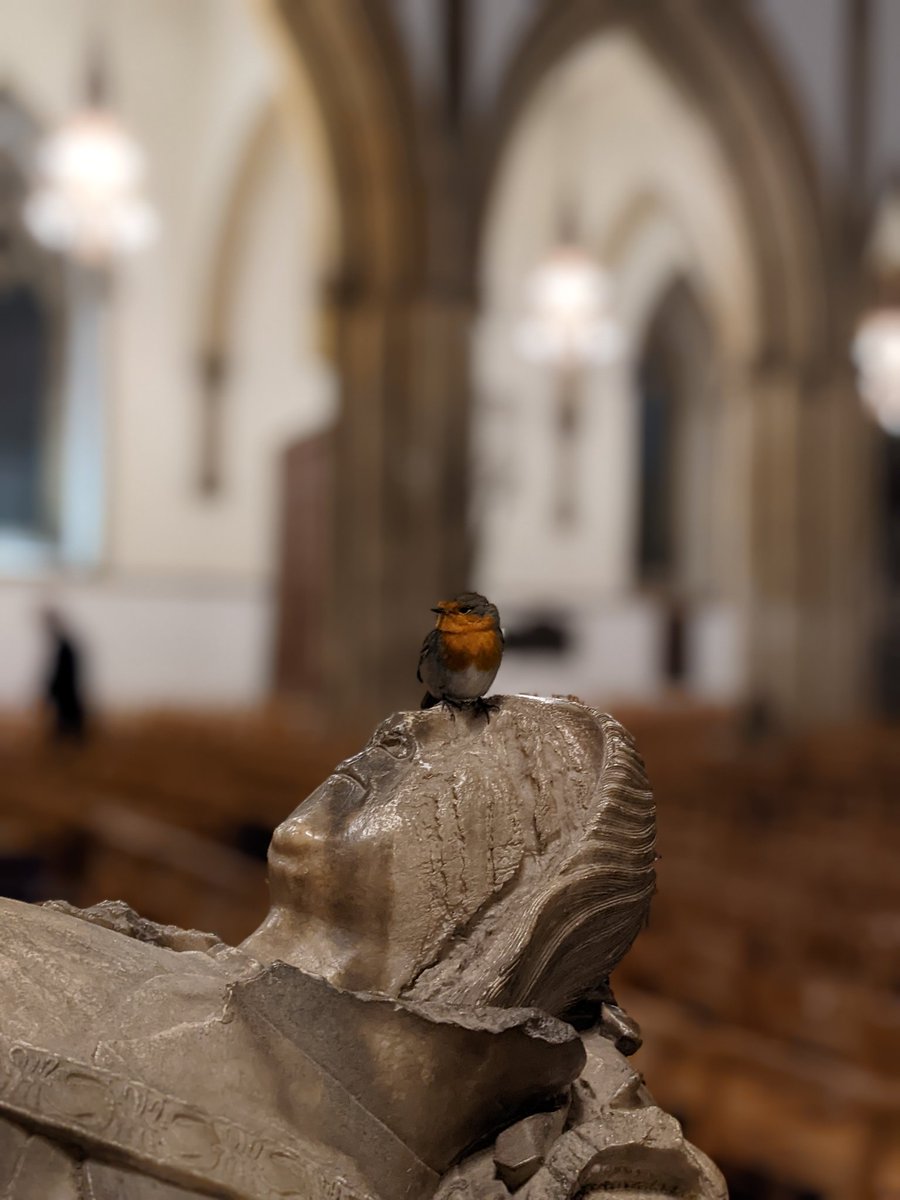 Look who popped in to say hello!
<a href="/LlandaffCath/">Llandaff Cathedral 🏴󠁧󠁢󠁷󠁬󠁳󠁿</a> #robin