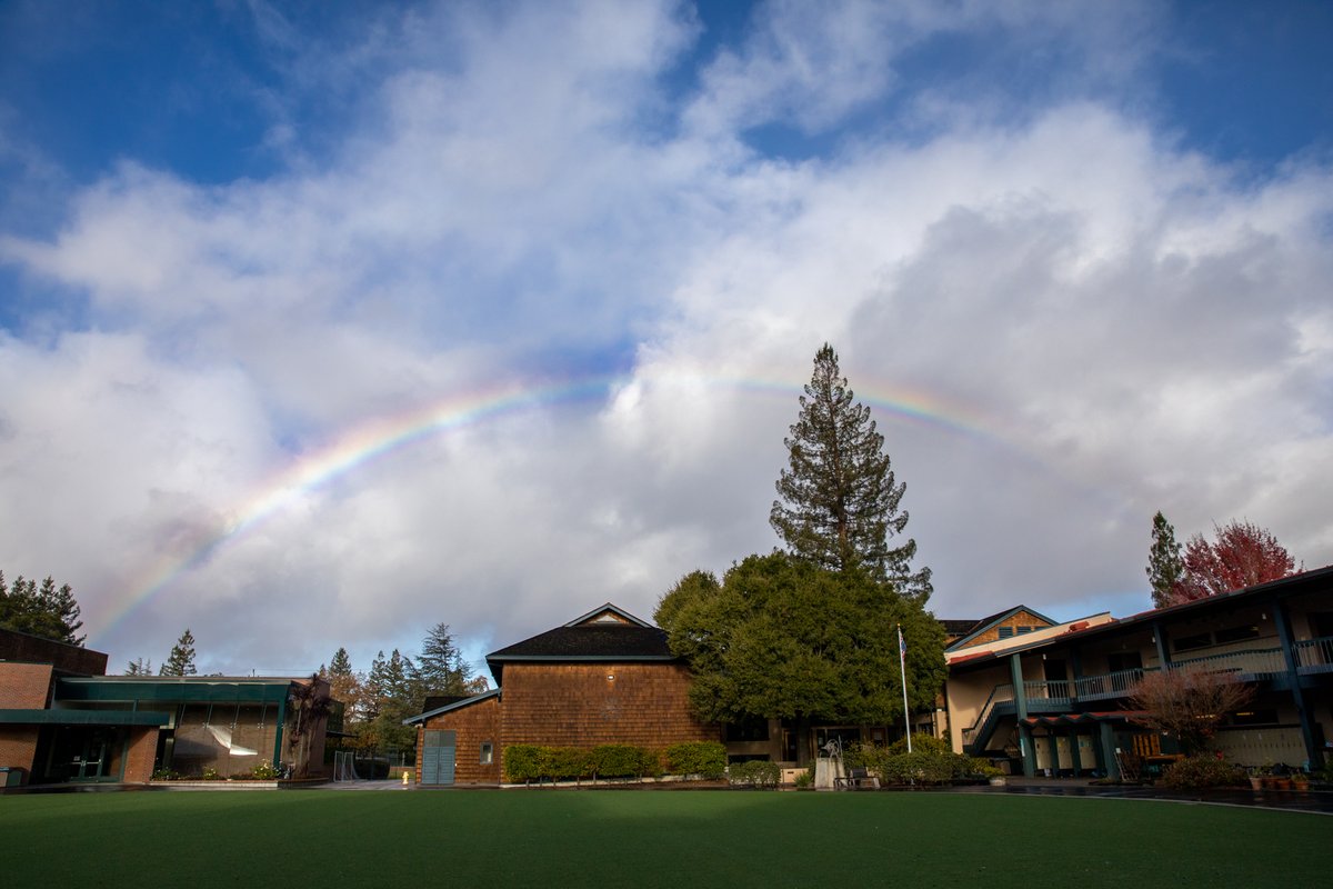 A lucky start to Monday! Have a great week, Castilleja! 🌈