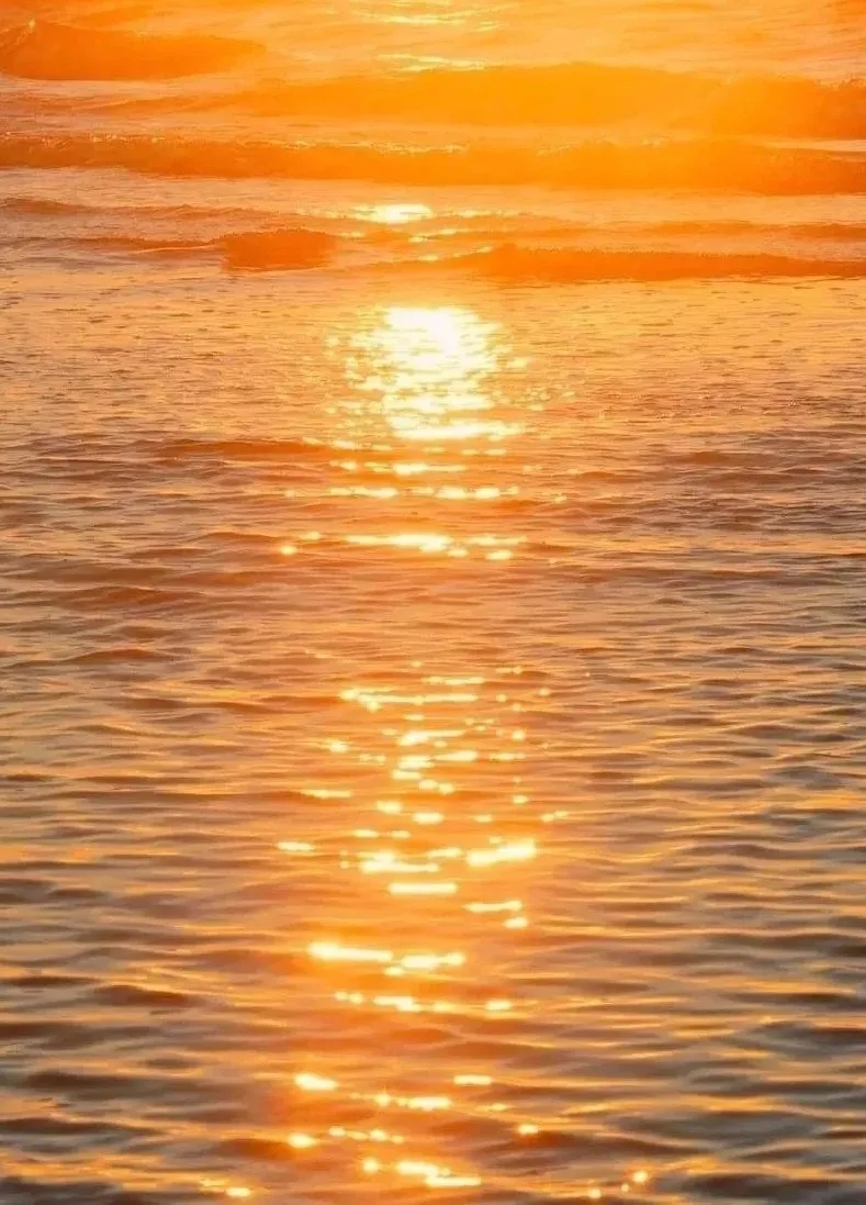 Explore Zhuhai on Twitter "😊 When was the last time you saw such