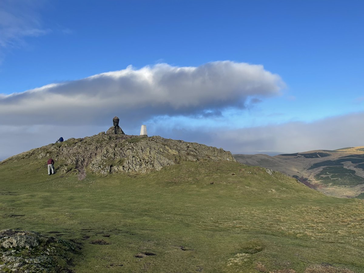 Mr C Beer tweet media