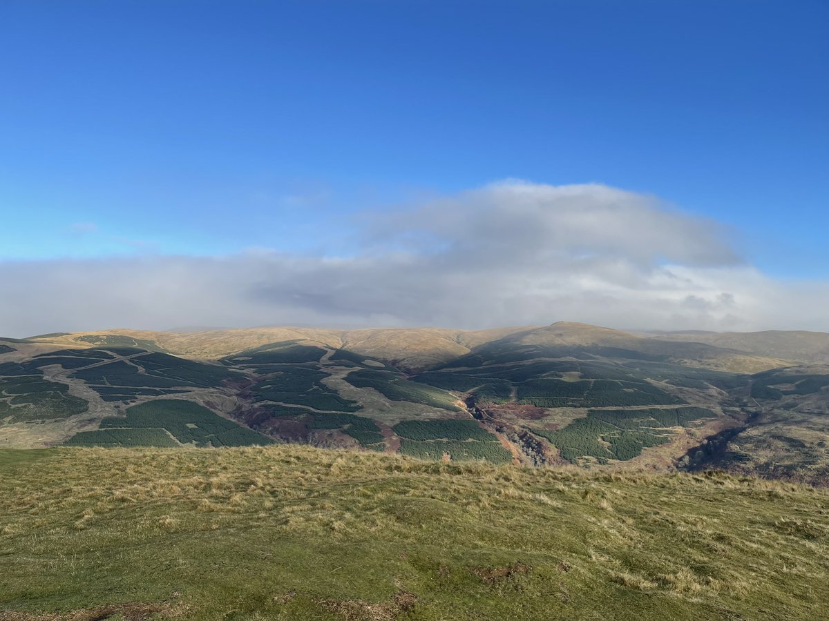 Mr C Beer tweet media