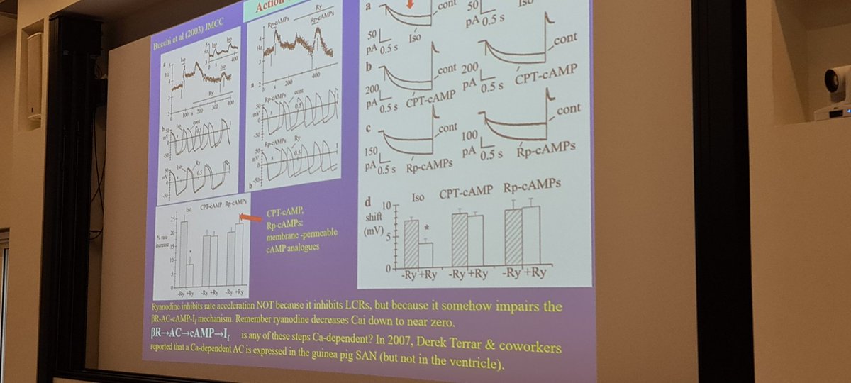 Umr1180's tweet photo. Nice historical overview by Dario DiFrancesco #Cardiofisch https://t.co/7PZ8cik9tc