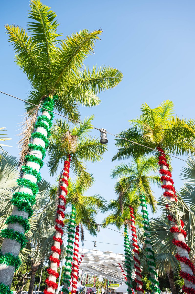 VisitSPC's tweet photo. Let it snow, let it snow, let it snow…somewhere else. 😉☀️🌴 #StPetePier #StPete #Florida https://t.co/8op0HMFsXk